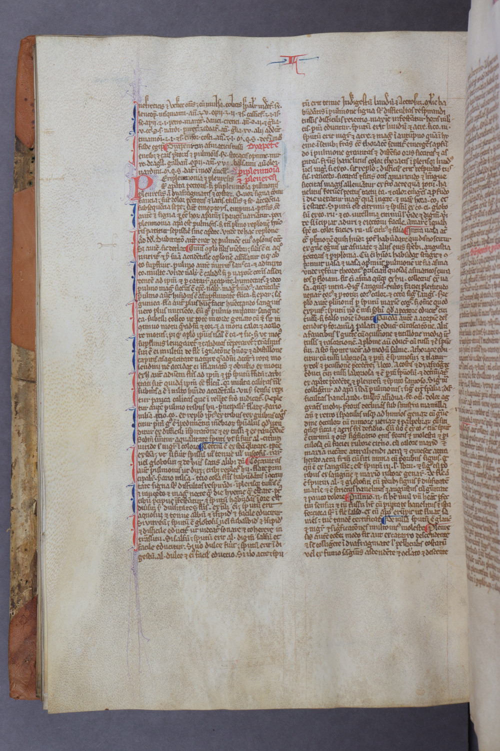 Folio 88 verso